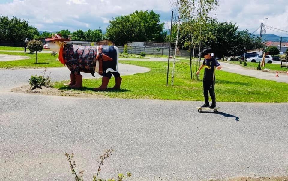 Speedhouse Lägenhet Alba Iulia Exteriör bild