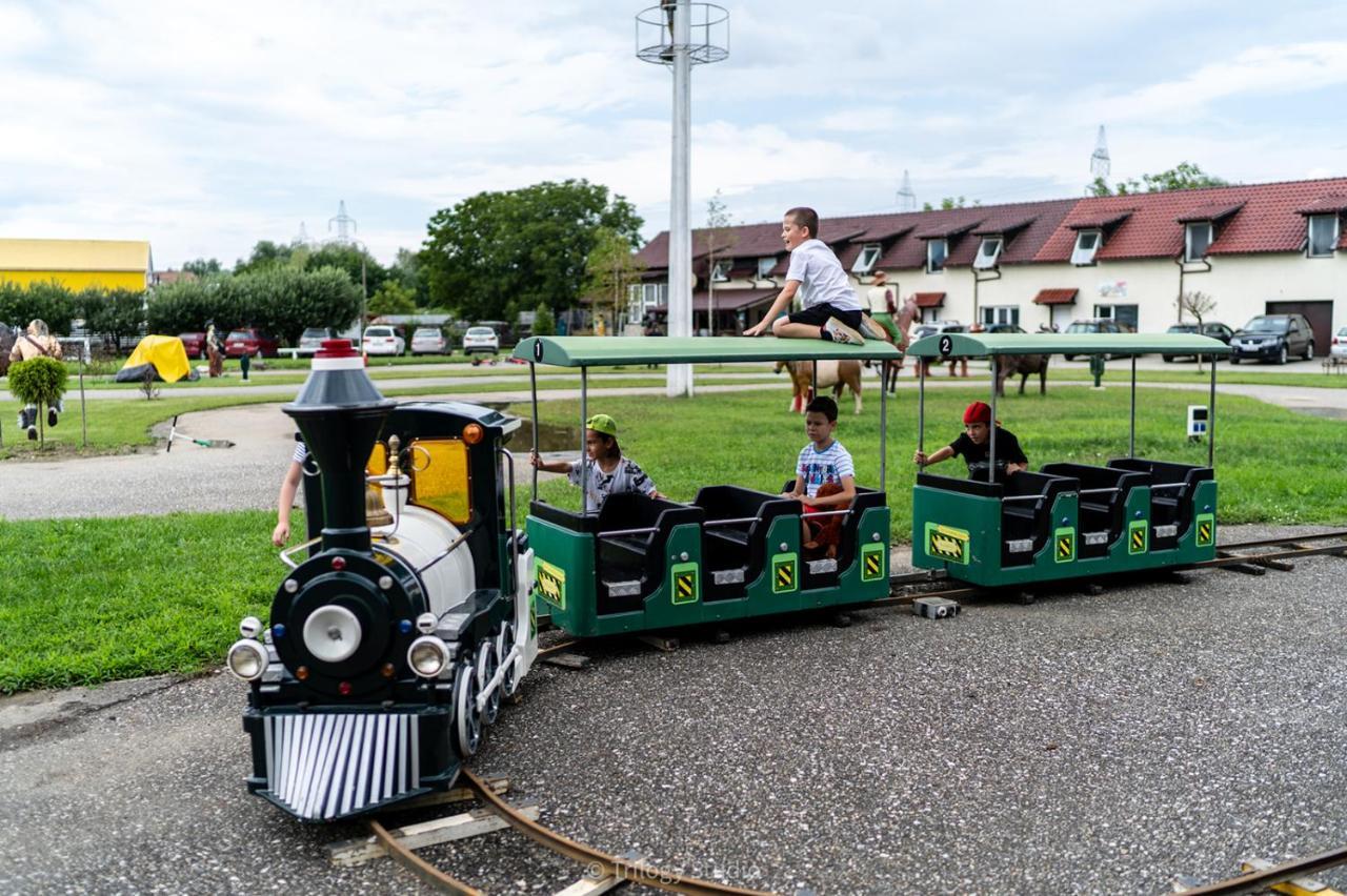 Speedhouse Lägenhet Alba Iulia Exteriör bild